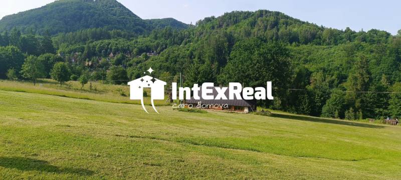 IMG_20250605_165626.jpg
