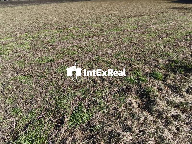 Investičná príležitosť, pozemok  na predaj, 3 399 m²,, Čierny Brod , viac na: https://reality.intexreal.sk/