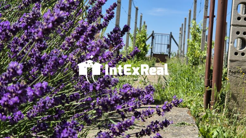 Rodinný  dom  s novou strechou, predaj, Košúty, viac na: https://reality.intexreal.sk/