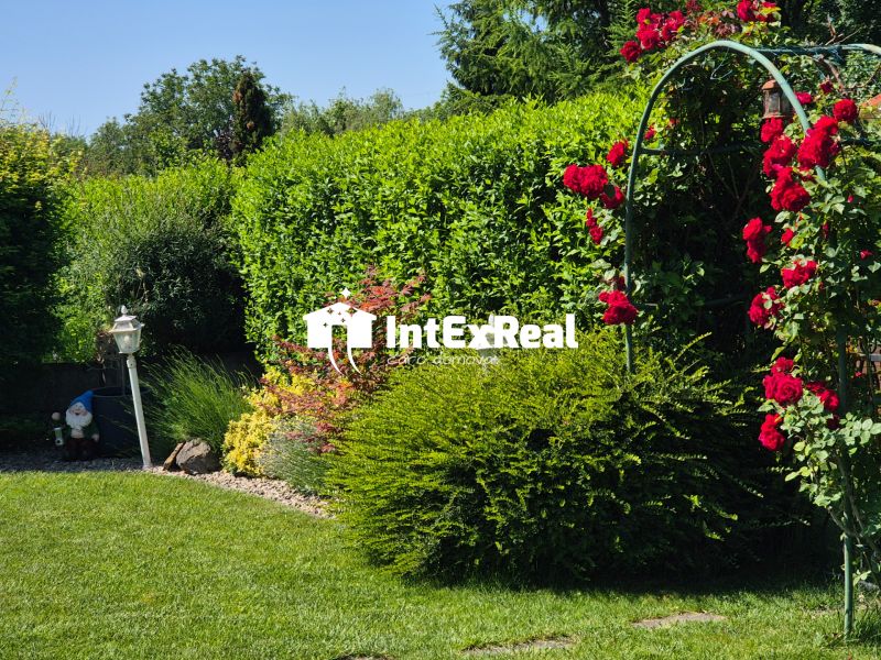 Záhrada s vírivkou, záhradným domčekom, Galanta, Sever, viac na: https://reality.intexreal.sk/