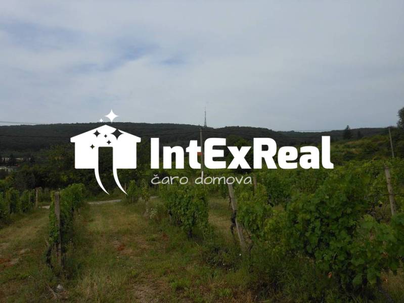 Viac na: http://reality.intexreal.sk/ a http://www.intexreal.sk/